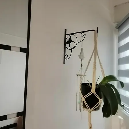 Tiny Little Flat